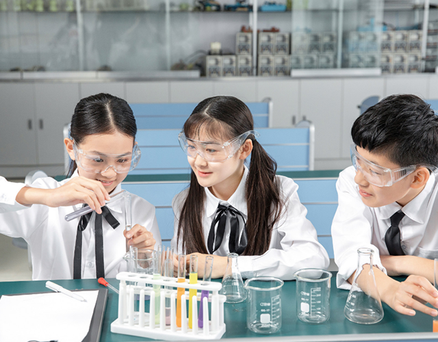 学校都通过新教师培训和全体教师大会等活动